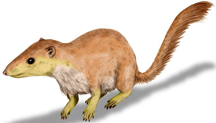 Purgatorius