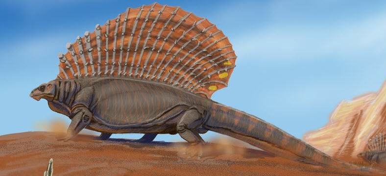Reptile mammalien
