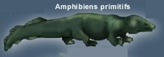 Amphibien
